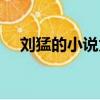劉猛的小說為什么不能看（劉猛的小說）
