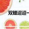 雙鯉迢迢一紙書小說全文閱讀（雙鯉）