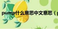 pump什么意思中文意思(pump什么意思)
