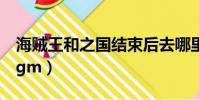 海賊王和之國結束后去哪里(海賊王和之國bgm)