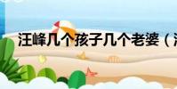 汪峰幾個孩子幾個老婆(汪峰幾個孩子)