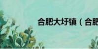 合肥大圩鎮(合肥大圩)