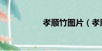 孝順竹圖片(孝順竹)