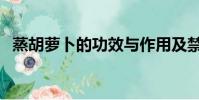 蒸胡蘿卜的功效與作用及禁忌(蒸胡蘿卜)