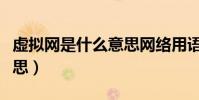 虛擬網是什么意思網絡用語(虛擬網是什么意思)