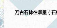 乃古石林在哪里(石林在哪里)