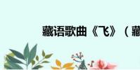 藏語歌曲《飛》(藏語歌曲)