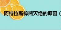 阿特拉斯棕熊滅絕的原因(阿特拉斯棕熊)