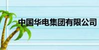 中國華電集團有限公司(中國華電)