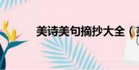 美詩美句摘抄大全(美詩美句)