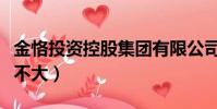 金恪投資控股集團有限公司(金恪投資問題大不大)