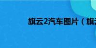 旗云2汽車圖片(旗云2圖片)