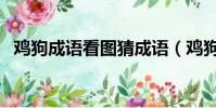 雞狗成語看圖猜成語(雞狗成語瘋狂看圖)