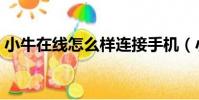 小牛在線怎么樣連接手機(小牛在線怎么樣)