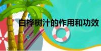 白樺樹汁的作用和功效(白樺樹汁)