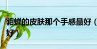 貂蟬的皮膚那個手感最好(貂蟬皮膚哪個手感好)