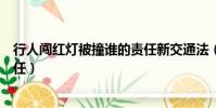 行人闖紅燈被撞誰的責任新交通法(行人闖紅燈被撞誰的責任)