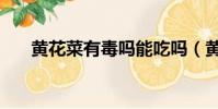 黃花菜有毒嗎能吃嗎(黃花菜有毒嗎)