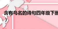 含有鳥名的詩句四年級下冊(含有鳥名的詩句)