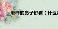哪樣的鼻子好看(什么鼻子最好看)