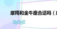 摩羯和金牛座合適嗎(摩羯和金牛)