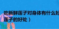 吃新鮮蓮子對身體有什么好處和壞處(吃新鮮蓮子的好處)