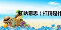 扛啥意思(扛精是什么意思)