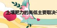 土壤肥力的高低主要取決于(土壤肥力)