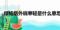 綠楊煙外曉寒輕是什么意思(綠楊煙外曉寒輕)
