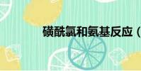 磺酰氯和氨基反應(磺酰氯)