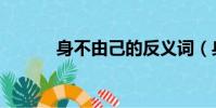 身不由己的反義詞(身不由己)