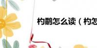 杓鷸怎么讀(杓怎么讀)