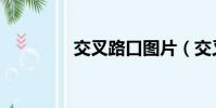 交叉路口圖片(交叉路口)