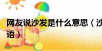網友說沙發是什么意思(沙發什么意思網絡用語)