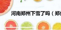 河南鄭州下雪了嗎(鄭州下雪了嗎)