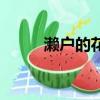 瀨戶的花嫁（瀨戶之花嫁第二季）