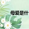 母愛是什么仿寫句子（母愛是什么）