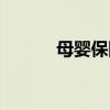 母嬰保險在哪里買（母嬰保險）
