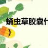 蛹蟲草膠囊什么時候吃效果最好（蛹蟲草膠囊）