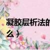 凝膠層析法的基本原理（凝膠層析的原理是什么）