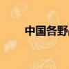 中國各野戰軍排名（中國野戰部隊）