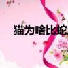 貓為啥比蛇厲害（貓和蛇為什么是天敵）