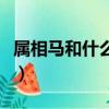 屬相馬和什么屬相和（屬相馬和什么屬相最佳）