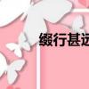 綴行甚遠行的意思（遠行的意思）