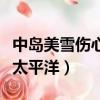 中島美雪傷心太平洋日語歌詞（中島美雪傷心太平洋）