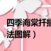 四季海棠扦插方法圖解大全（四季海棠扦插方法圖解）