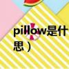 pillow是什么意思中文意思（pillow什么意思）