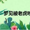 夢見被老虎咬死了是什么預兆（夢見被老虎咬）