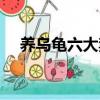 養烏龜六大禁忌（養龜十大禁忌烏龜吧）