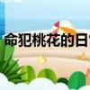 命犯桃花的日常破解版清軟完結（命犯桃花）
